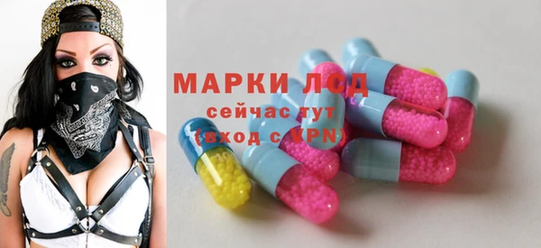 ГАЛЛЮЦИНОГЕННЫЕ ГРИБЫ Заволжье