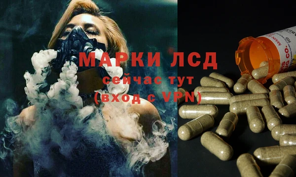 дживик Алзамай