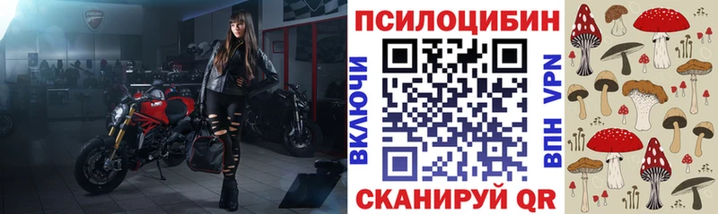купить сайты Кореновск блэк спрут tor Псилоцибиновые грибы GOLDEN TEACHER